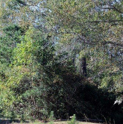 5th image of 521 SE Pike Circle SE