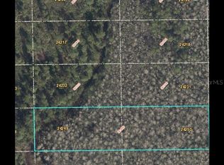 Dill Rd LOT 490, Orlando, FL 32820