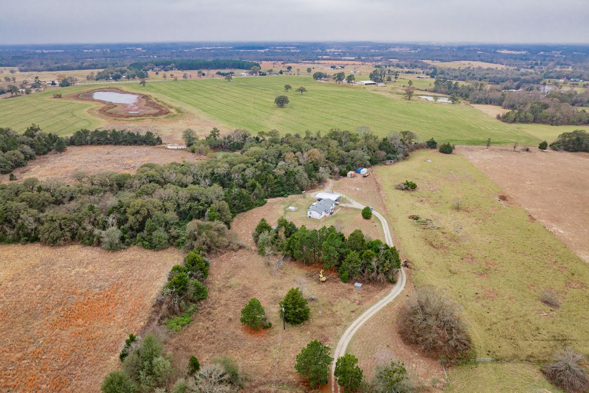 next background image