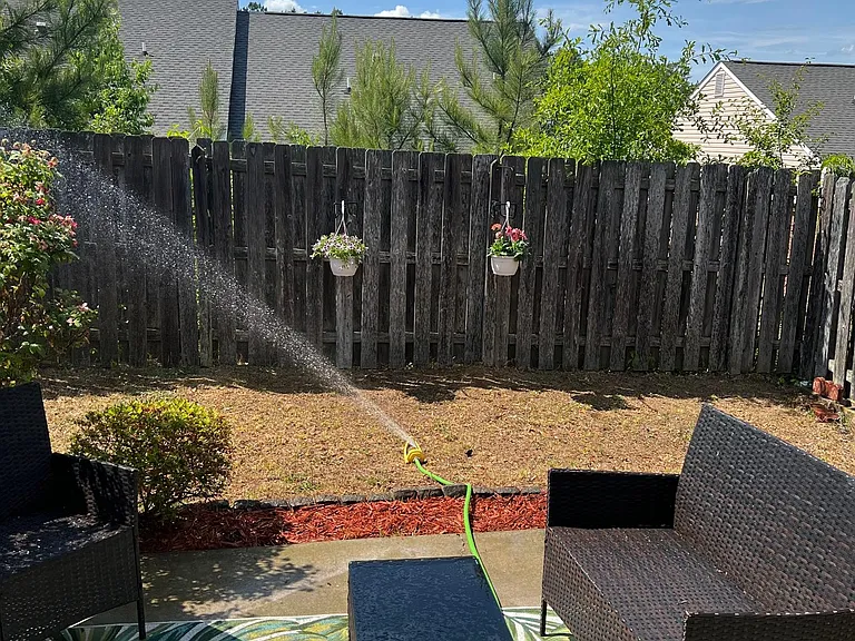 Backyard