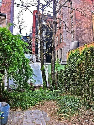 Rented by James Everett Lewis, LREB | media 22