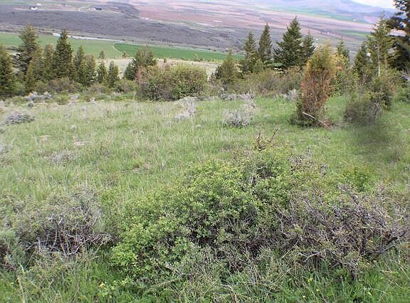 3rd image of 44 Caribou Village Subdivision Chase #1