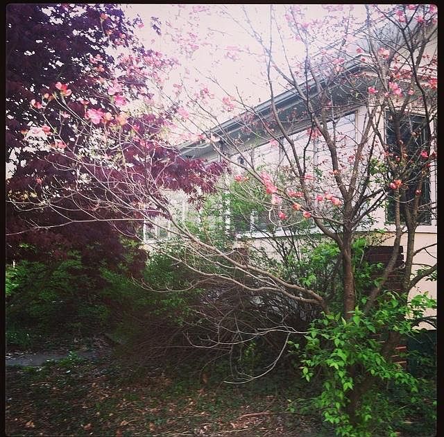 front porch