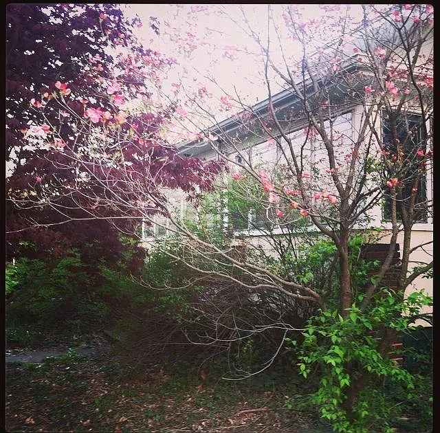 509 E Oregon St photo 1