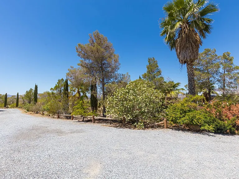1130 E Mesquite Ave #2 — Photo 34