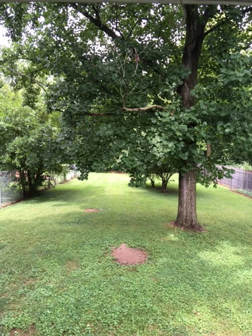 Charming 2 bedroom near IU campus! — Photo 4