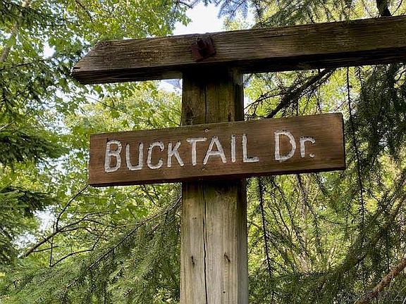 3rd image of Bucktail Drive Lots