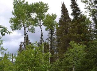 Xxx Cramer Rd, Finland, MN 55603