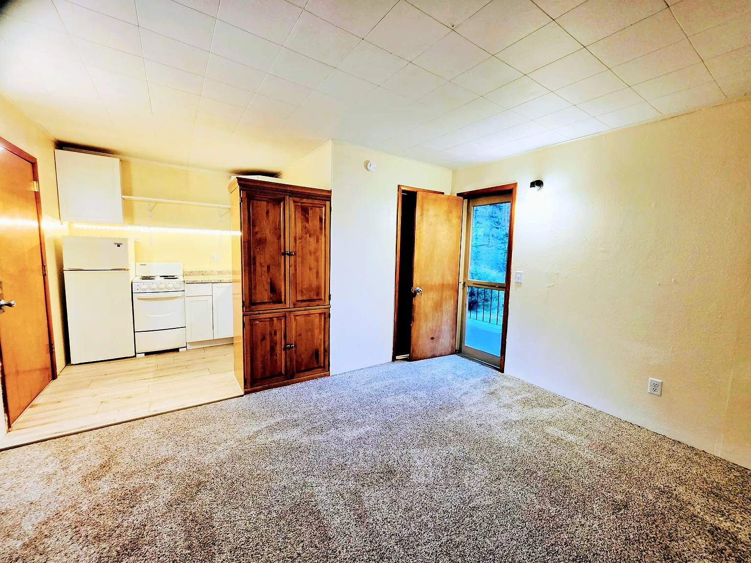 Studio, 250 sqft, $950 — Photo 4