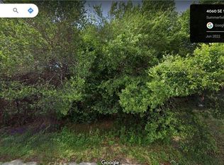 53 Undetermined Lot, Summerfield, FL 34491