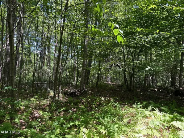 122 Ironmasters Section, Claysburg, PA 16625