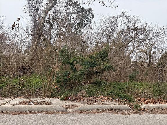 2nd image of 10311 Raymondville Rd