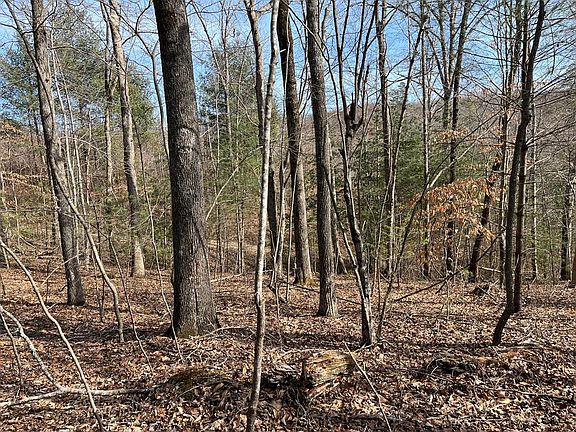 4th image of O Mill Creek Rd #O