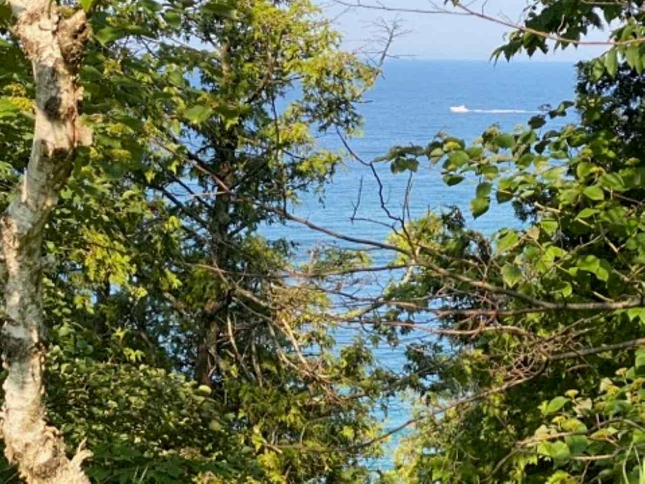 3003 S Lake Shore Dr, Harbor Springs, MI 49740 Zillow