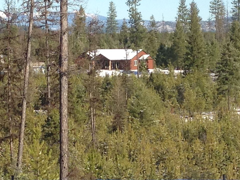 1st image of 462 Freedom Meadows Dr