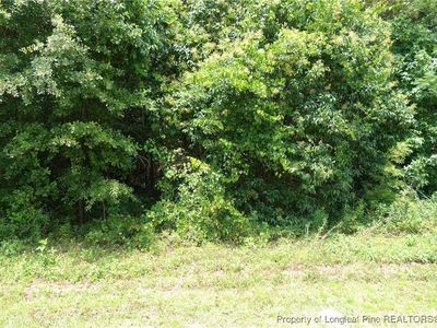 State Highway 41 S, Fairmont, NC, 28340