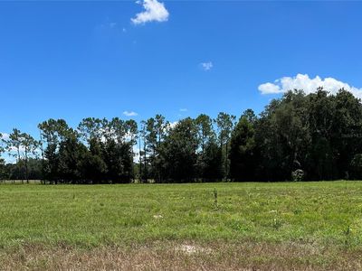 722 Cr, Webster, FL, 33597