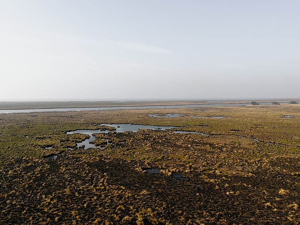 Dji 20260212224753 0296 D
