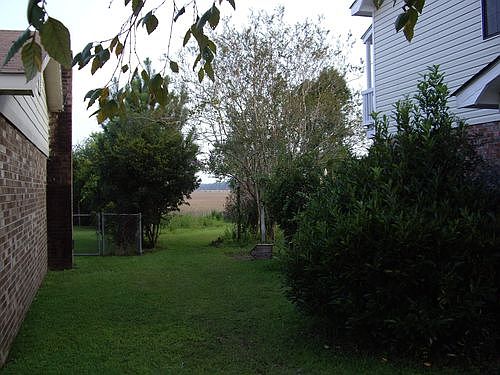 Side Yard