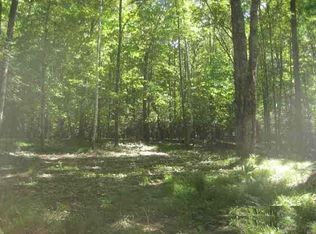 2510 W Martha Lake Rd, Mercer, WI 54547