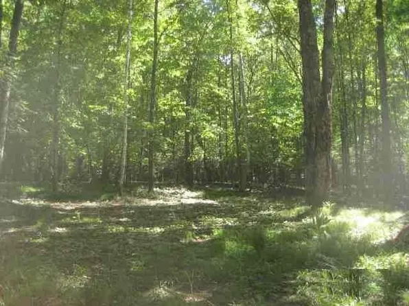 2510 W Martha Lake Rd, Mercer, WI 54547