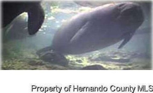 5th image of 12684 Coronado Dr