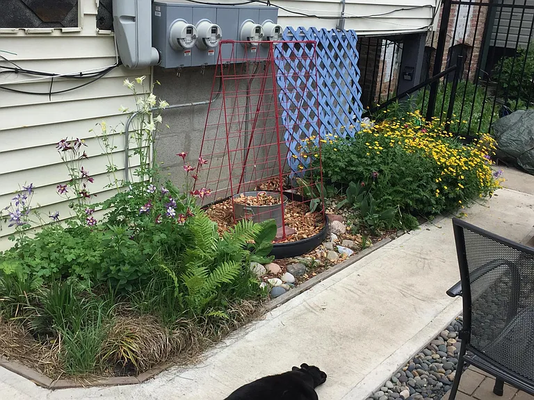The patio is a nice place for a cat nap...