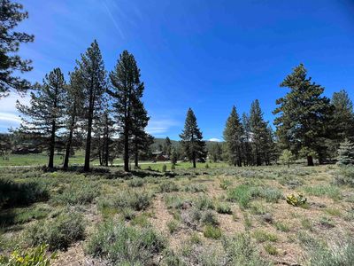 15865 Exeter Ct, Truckee, CA, 96161