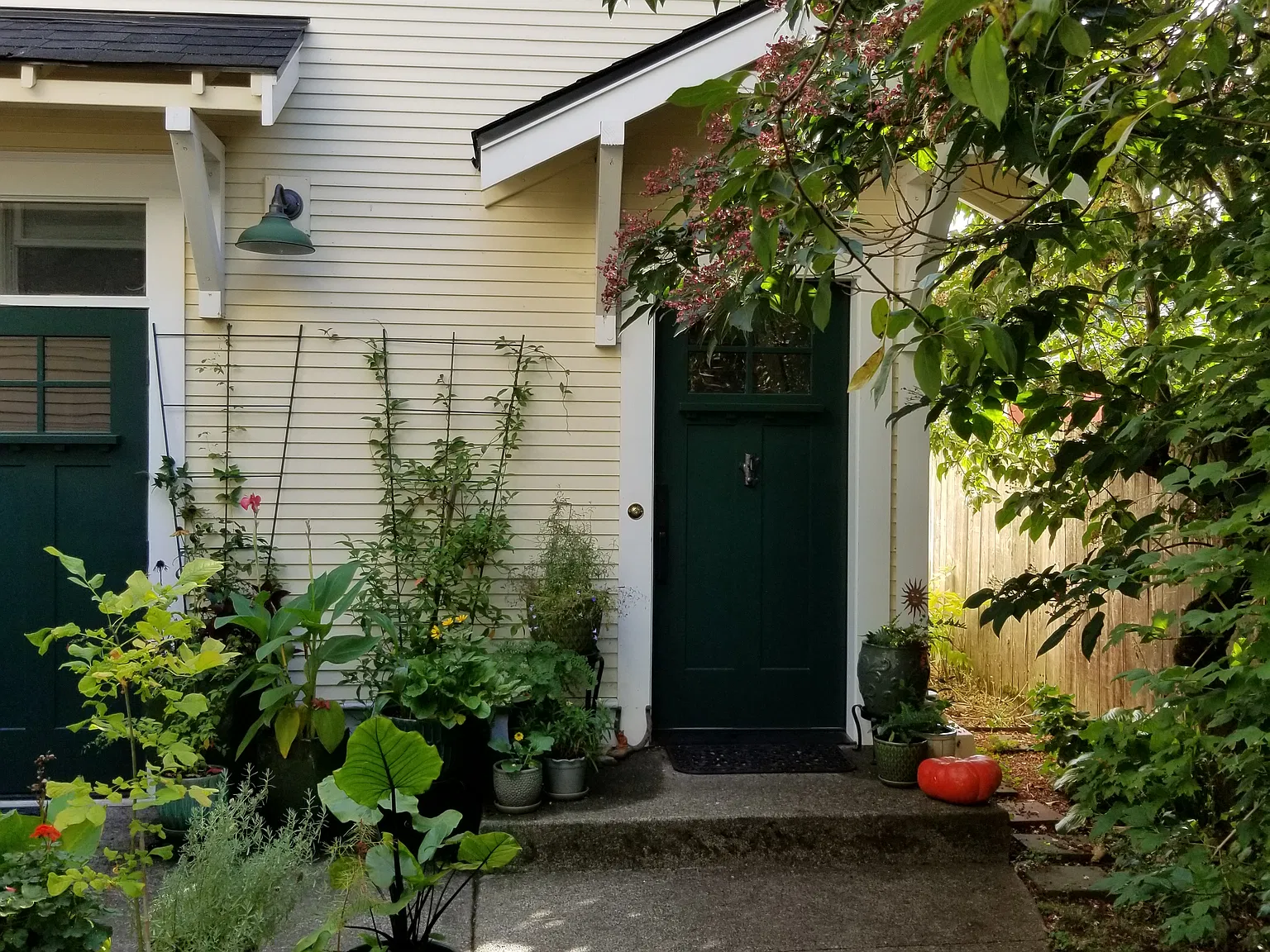 1 bed, 567 sqft, $1,925 — Photo 1