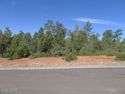4800 S Manzanita Way, Show Low, AZ, 85901