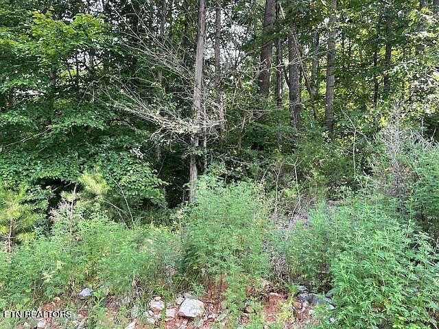 1st image of 0 Pinnacle Pointe Way Lot 104