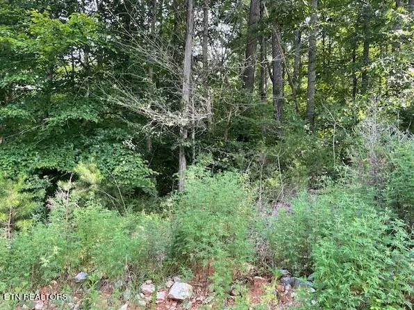 0 Pinnacle Pointe Way Lot 104, Sharps Chapel, TN 37866