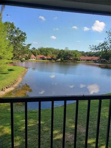3423 Mermoor Dr APT 206, Palm Harbor, FL, 34685