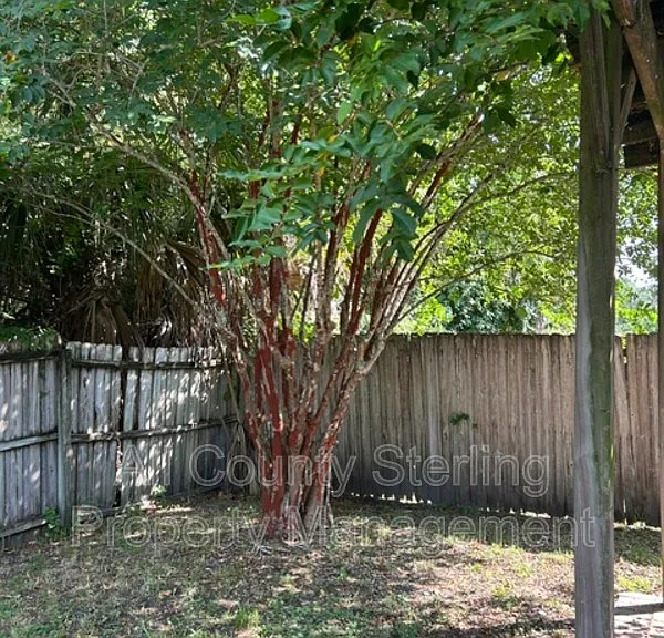 158 Gleason Cv — Photo 16
