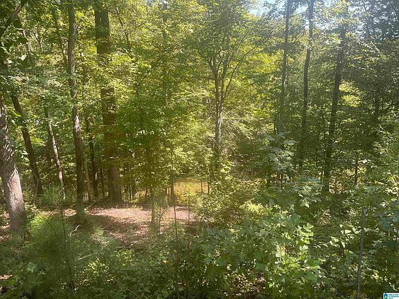 4th image of 28 Trails End Ln #19 & 20