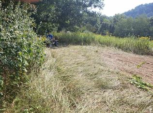 734 Canoe Run, Looneyville, WV 25259