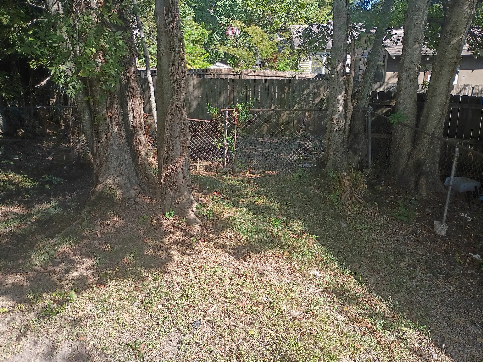 1625 Terrace St — Photo 4