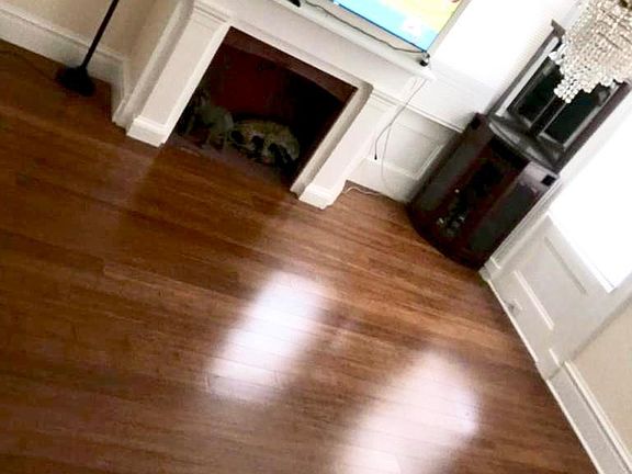 4th image of 301 Franklin St APT 1