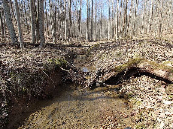 5th image of 206 Thelma Ln Lot Wp001