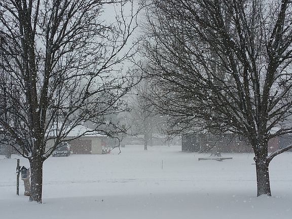 Front Yard from Porch
