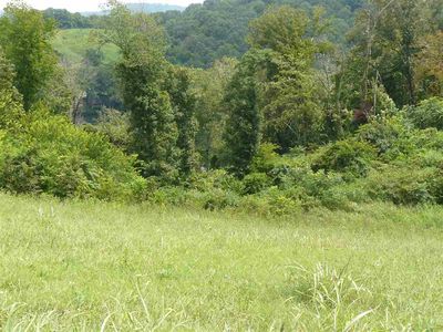 8 Lookout Dr, Rutledge, TN, 37861