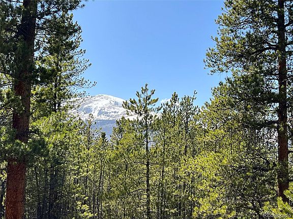 2nd image of 464 Sequoia Dr