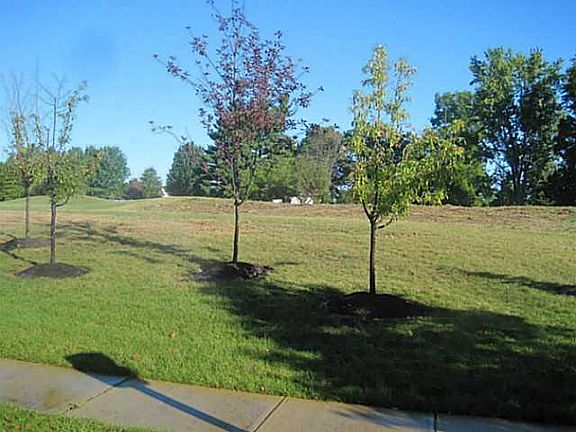 4th image of 6485 Braymoore Dr