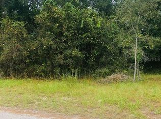 13352 Park Ln, Hudson, FL 34669