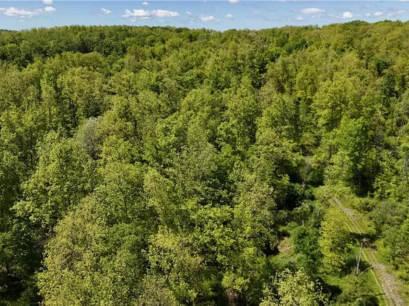 0 Forest Avenue Ext Lot 17, Jamestown, NY 14701