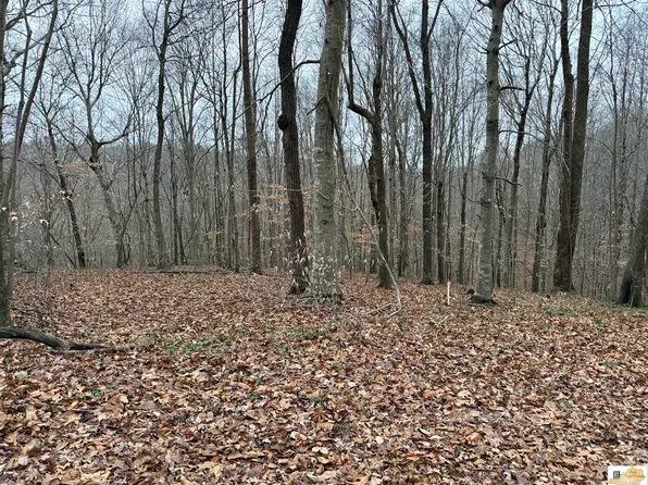 0 Southwood Dr, Scottsville, KY 42164