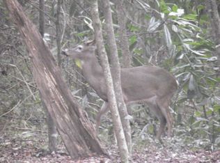 20 Velva Dr, Castle Hayne, NC 28429