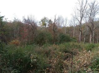 6689 Highway 9 N, Mill Spring, NC 28756