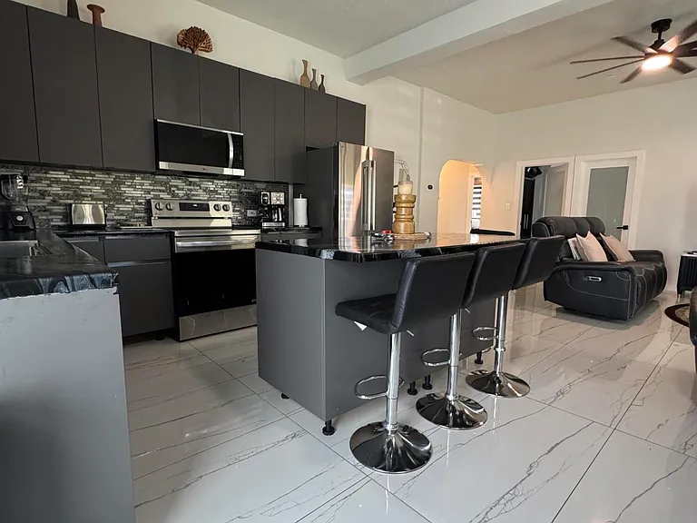47-H-1 La Grande Princesse Cir — Photo 7