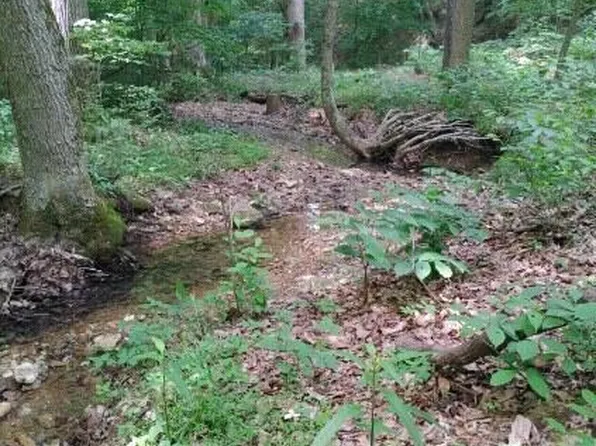 TRACT 7 Winding Hollow Ln, Lebanon Junction, KY 40150